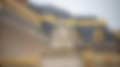 bg_ver